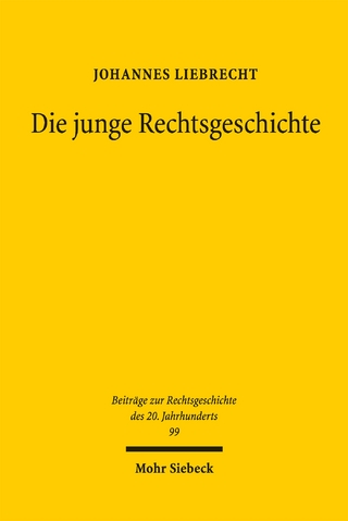 Die junge Rechtsgeschichte