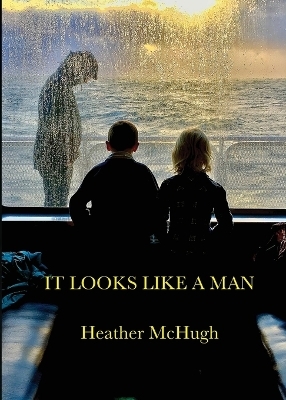 It Looks Like a Man - Heather McHugh