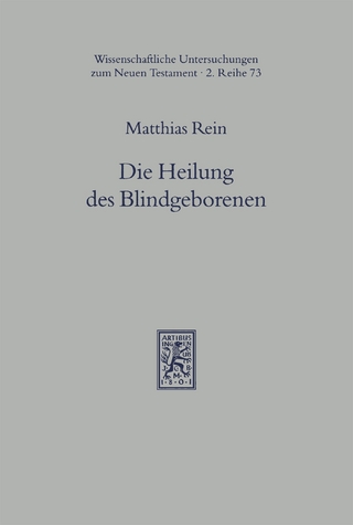Die Heilung des Blindgeborenen (Joh 9)