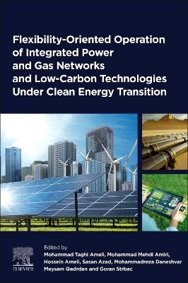 Flexibility-Oriented Operation of Integrated Power and Gas Networks and Low-Carbon Technologies Under Clean Energy Transition - 