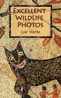 Excellent Wildlife Photos - Clay Ventre