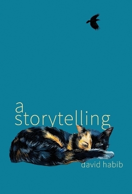 A Storytelling - David Habib