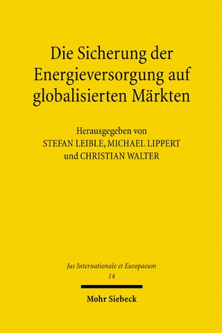 Die Sicherung der Energieversorgung auf globalisierten Märkten