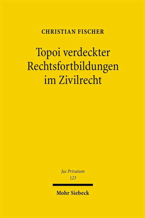 Topoi verdeckter Rechtsfortbildungen im Zivilrecht - Christian Fischer