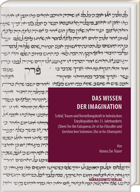 Das Wissen der Imagination - Hanna Zoe Trauer