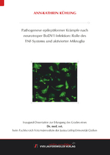 Pathogenese epileptiformer Krämpfe nach neurotroper BoDV1-Infektion: Rolle des TNF-Systems und aktivierter Mikroglia - Ann-Kathrin Kühling