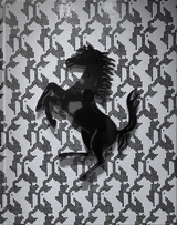 The Art of Ferrari - Michael K&ouml;ckritz