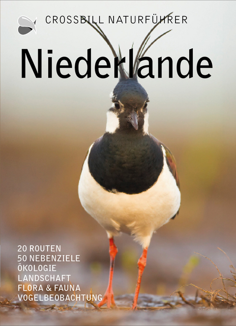 Niederlande - Dirk Hilbers, Constant Swinkels