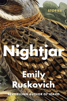 Nightjar