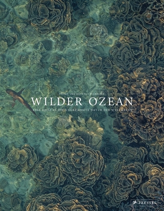 Wilder Ozean