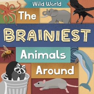 The Brainiest Animals Around