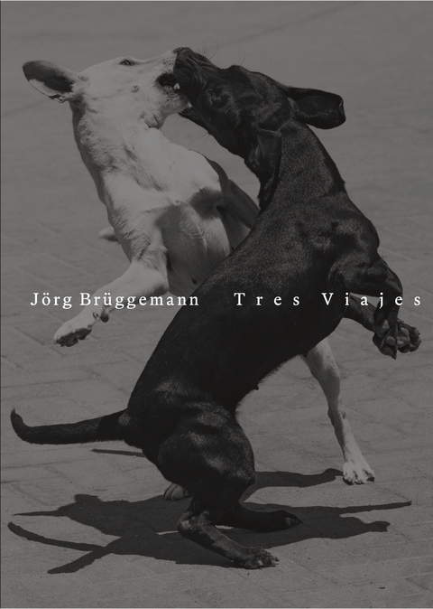Tres Viajes - J&ouml;rg Br&uuml;ggemann