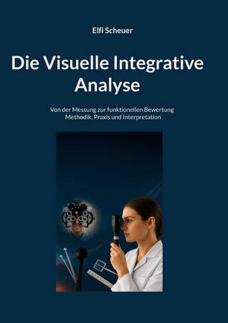 Die Visuelle Integrative Analyse