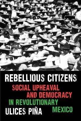 Rebellious Citizens - Ulices Pi&ntilde;a
