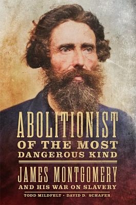 Abolitionist of the Most Dangerous Kind - Todd Mildfelt, David D. Schafer
