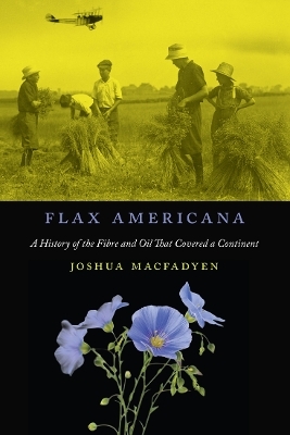 Flax Americana - Joshua Macfadyen