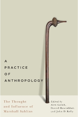 A Practice of Anthropology - Alex Golub, Daniel Rosenblatt, John D. Kelly