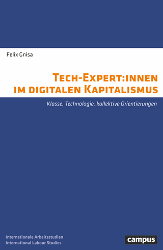 Tech-Expert:innen im digitalen Kapitalismus