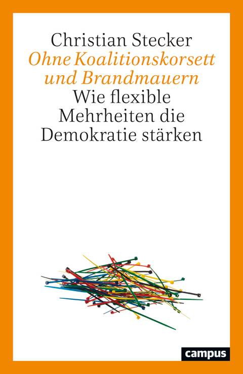 Ohne Koalitionskorsett und Brandmauern - Christian Stecker