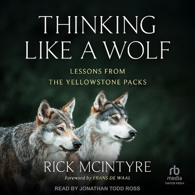 Thinking Like a Wolf - Rick McIntyre