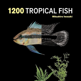 1200 Tropical Fish: An Illustrated Guide to 1200 Fish Species from Around the World
