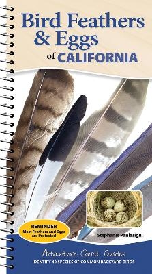 Bird Feathers & Eggs of California - Stephanie Panlasigui