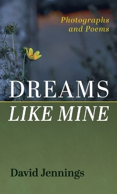 Dreams Like Mine - David Jennings