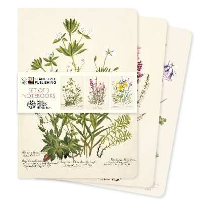 Royal Botanic Gardens Edinburgh Set of 3 Standard Notebooks - 