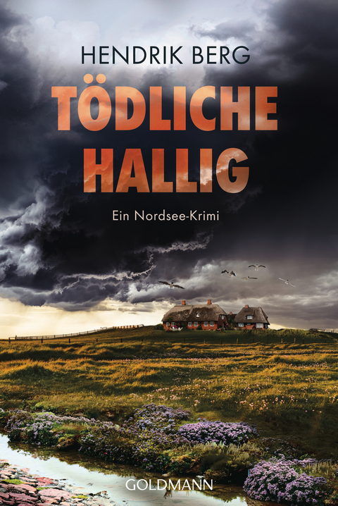 T&ouml;dliche Hallig - Hendrik Berg