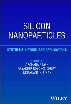 Silicon Nanoparticles - 