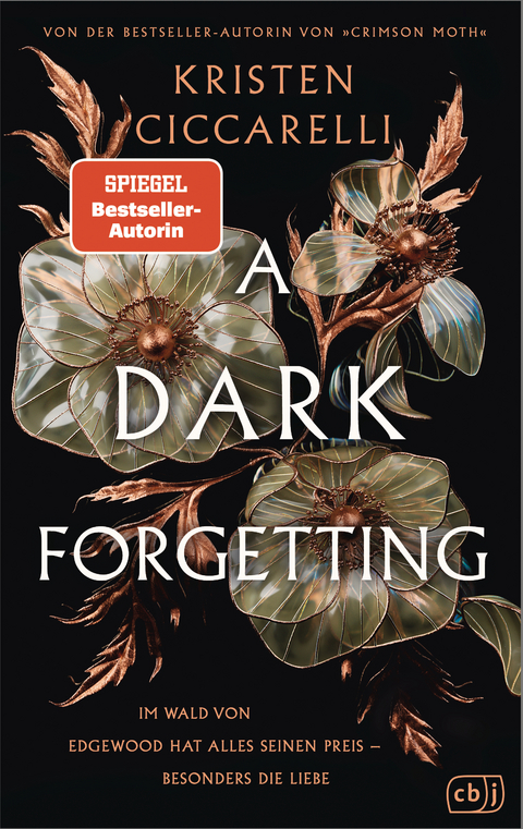 A Dark Forgetting - Kristen Ciccarelli