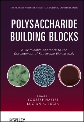 Polysaccharide Building Blocks – A Sustainable Approach to the Development of Renewable Biomaterials