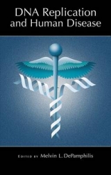 DNA Replication and Human Disease - DePamphilis, Melvin L.