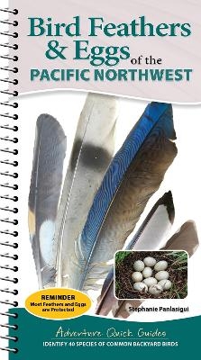 Bird Feathers & Eggs of the Northwest - Stephanie Panlasigui
