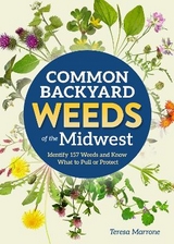 Common Backyard Weeds of the Midwest - Marrone, Teresa