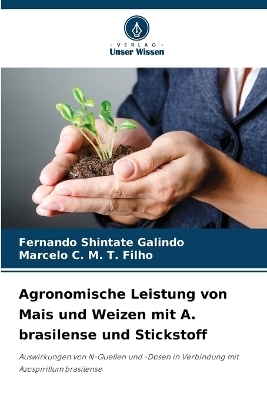 Agronomische Leistung von Mais und Weizen mit A. brasilense und Stickstoff