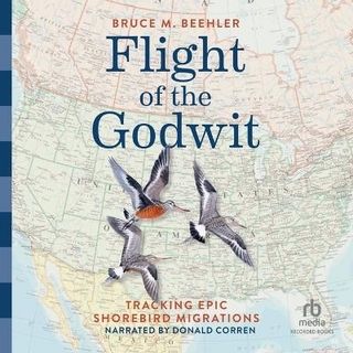 Flight of the Godwit
