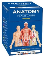 Anatomy Flash Cards (300 Cards) - Perez, Vincent