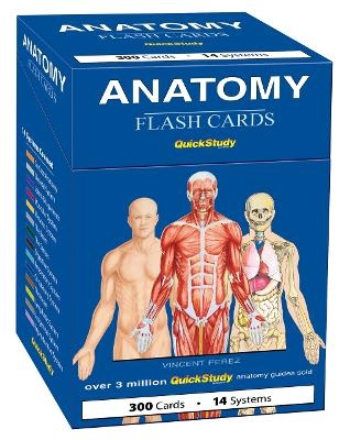 Anatomy Flash Cards (300 Cards) - Vincent Perez