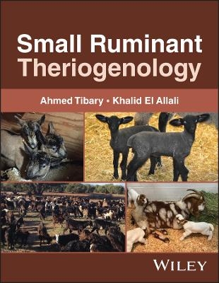 Small Ruminant Theriogenology - Ahmed Tibary, Khalid El Allali