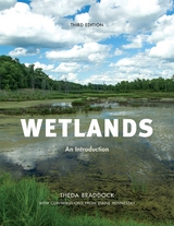 Wetlands -  Theda Braddock,  Dianne Hennessey