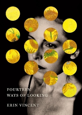 Fourteen Ways of Looking - Erin Vincent