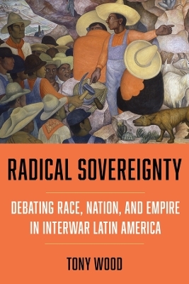 Radical Sovereignty - Tony Wood