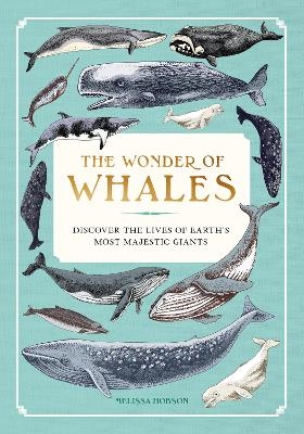 The Wonder of Whales - Melissa Hobson