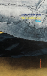 Das Dunkel leuchtet - Judith Schmidt-Piano