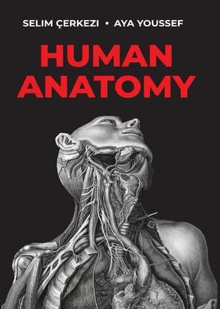 Human Anatomy