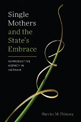 Single Mothers and the State's Embrace - Harriet M. Phinney