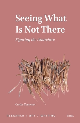 Seeing What Is Not There - Carine Zaayman