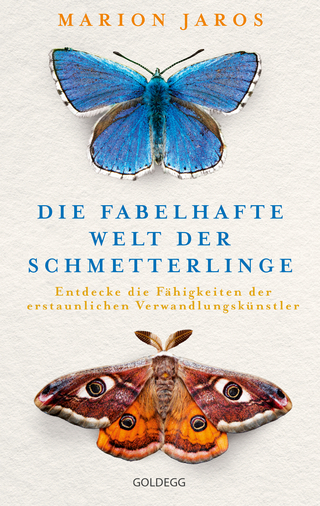 Die fabelhafte Welt der Schmetterlinge