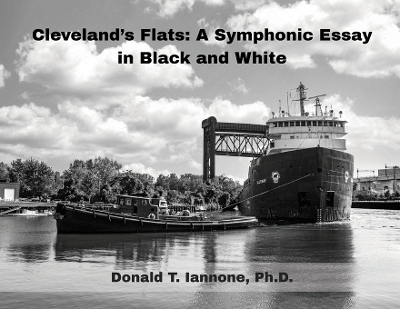 Cleveland's Flats - Donald T Iannone